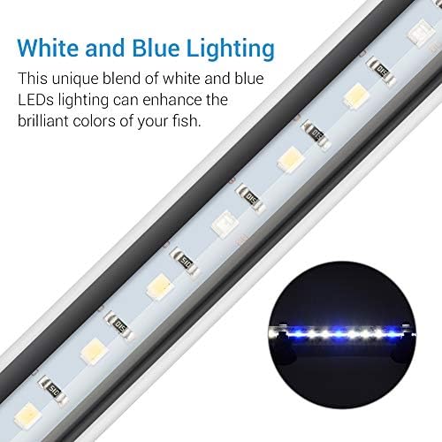 NİCREW dalgıç LED akvaryum ışık, gizli Beyaz ile mavi LED ışık sopa için balık Tankı, 11-inç, 4 W