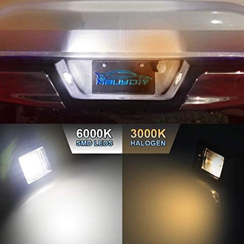 MbuyDIY LED plaka ışık lamba donanımı ile Uyumlu 2015-2020 F150 17-20 Raptor Şeffaf Lens 6000 K Beyaz, 2'li paket