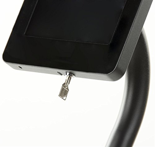 Displays2go Afiş Standı, iPad Kiosk, Çelik, Alüminyum, Plastik Yapılı—Siyah Tablet Ekranlı (IPDSAUJ33)