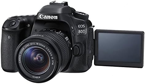 EF-S 18-55mm f/3.5-5.6 Görüntü Sabitleme STM Lensli Canon EOS 80D Dijital SLR Fotoğraf Makinesi Seti-Siyah (Yenilendi)