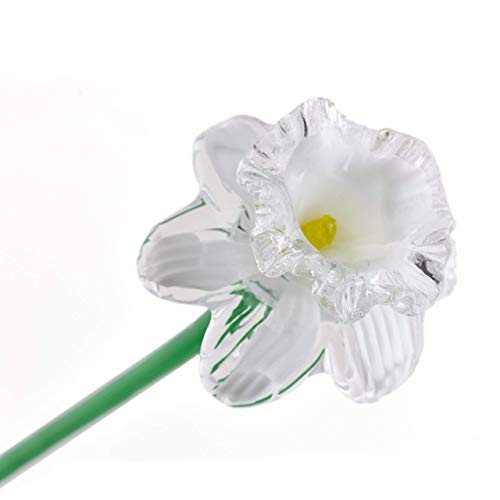 Beyaz Cam Nergis Çiçeği, Türünün tek örneği, Yaşam Boyu 20 uzunluğunda. 50.00 $ 'dan fazla harcadığınızda 48 $' ın altına ücretsiz