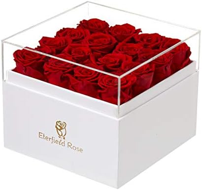 Eterfield Bir Yıl Süren Gülleri Korudu Bir Kutuda Ebedi Gül Onun için Kokusuz Gerçek Gül Hediye (Kırmızı Güller, Kare Beyaz Kutu)