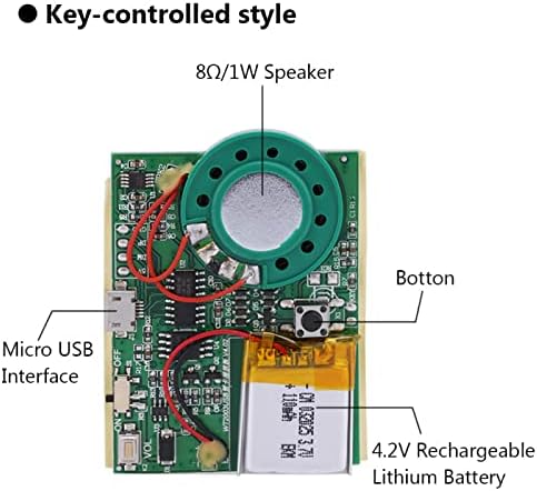 Bıuzı Ses Modülü 1 Adet 4 M Depolama Alanı USB Kaydedilebilir Ses Modülü 1 W Ses Kaydedilebilir Modülü ile Şarj Edilebilir Lityum