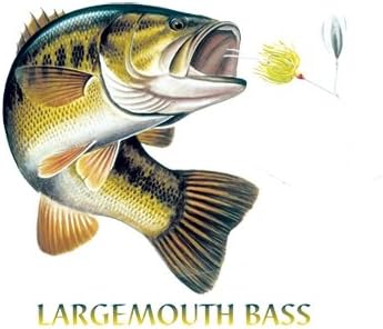 Kendinizi İfade Edin Ürünler Largemouth Bass Combo (Gri) - Kapı ve Karşılama Matı