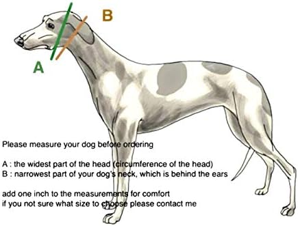 SightHound Gang Martingale Köpek Tasması ve Tasma Seti Greyhound Saluki Whippet Galgo ve Benzer Boyunlu Diğer Irklar için 2 Geniş