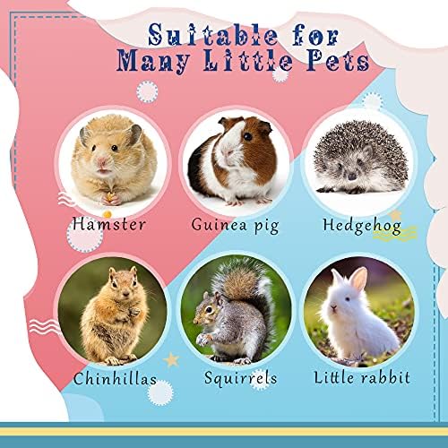 Hamster Kobay Oyuncaklar, Doğal Meyve Ahşap Sıçan Chinchilla Çiğnemek Oyuncaklar Diş Bakımı için, egzersiz Aksesuarları Oyuncaklar