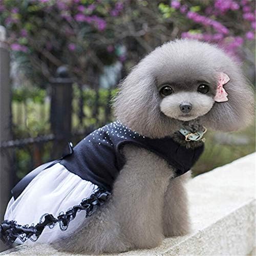 Tcplyn Premium Kalite Köpek Tutu Elbise Dantel Elbise Sevimli Pet Kedi Prenses Giyim Giyim Parti Elbise için Köpek XL