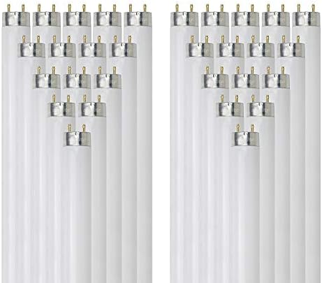 Sunlite F15T8 / CW 15 Watt T8 Lineer Floresan Ampul Orta Bi Pin Tabanı, Soğuk Beyaz, 30'lu Paket
