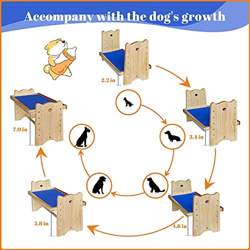 Yükseltilmiş Köpek Kase Standı, Yükseltilmiş Köpek Kase Tutucu, 5 Farklı Yükseklik Seviyesine Sahip Ayarlanabilir Köpek Kase