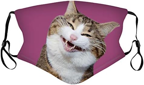 Kafa bandı Balaclava gençler yetişkinler için sevimli komik kedi desen ağız Facescarf yıkanmış yeniden kullanılabilir yüz Bandana