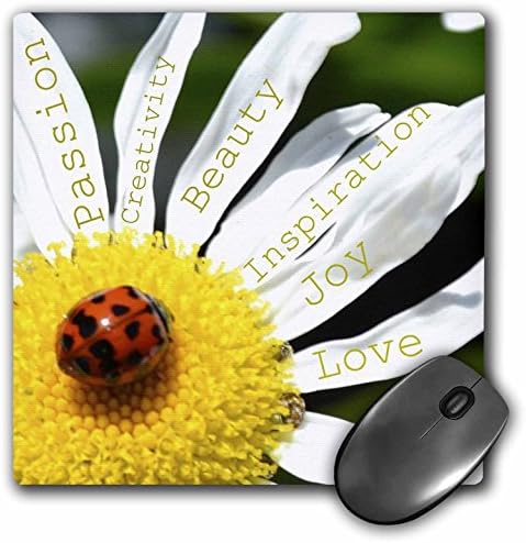 3dRose LLC 8 x 8 x 0.25 İnç Mouse Pad, Papatya Affirmations Çiçekler üzerinde İlham Verici Kelimeler Uğur Böceği (mp_40136_1)