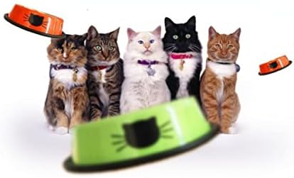 NA Pet Ürünleri Kalınlaşmış kedi Kase pet Kase Paslanmaz Çelik Baskılı Kauçuk Yan Çift Kase Köpek Kase Yeşil