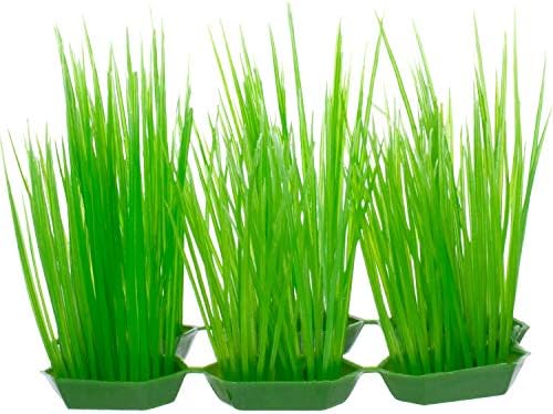 Petco Markası-Imagitarium Yeşil Ön Plan Plastik Akvaryum Bitkileri