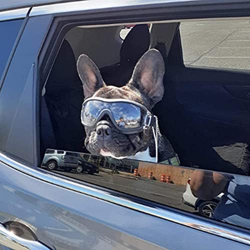 Tankyomilex Köpek Gözlük için Orta Büyük Cins Köpek Göz Koruma Güneş Gözlüğü Rüzgar Geçirmez UV Geçirmez Gözlük için Açık, şeffaf