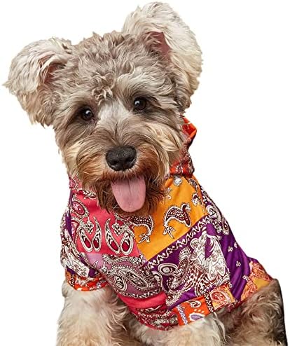 EWRTM Pet Giyim İyi Giyim Orta Köpekler Kediler Kapüşonlu Sweatshirt Dekor