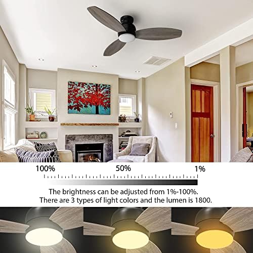 Işıkları ile tavan fanı, kapalı ve Açık Tavan Fanı,48 Düşük Profil DC Akıllı Tavan Fanı Alexa ile uyumlu, Siri, Google Ev ve
