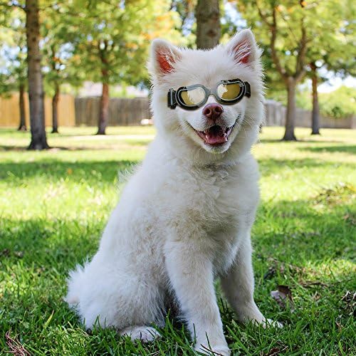 OFFSPRING Serin DN Pet Köpek Gözlük Köpek Göz Kamaştırıcı Rüzgar Geçirmez güneş gözlüğü Orta Küçük Köpekler Kediler Güneş Gözlüğü
