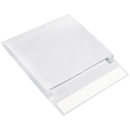 Ship-Lite Genişletilebilir Zarf, 10 x 13 x 2, Beyaz, 100 / Kutu