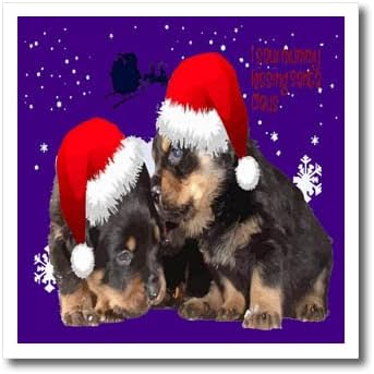 3dRose Puppy First Christmas - Isı Transferlerinde Ütü (ht_352053_3)