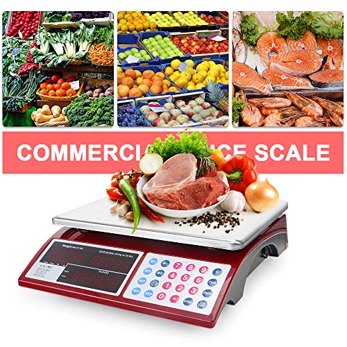 CAMRY Dijital Ticari Fiyat Ölçeği 66lb / 30 kg Gıda Et Meyve Üretmek için Çift Parlak Kırmızı LED Ekran ile Paslanmaz Çelik Platform